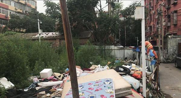 榴乡路东侧平房区域垃圾、剩余楼房。 苗诗雨 摄