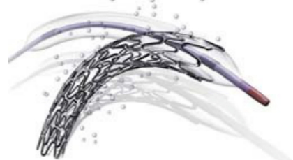 Taxus支架示意图