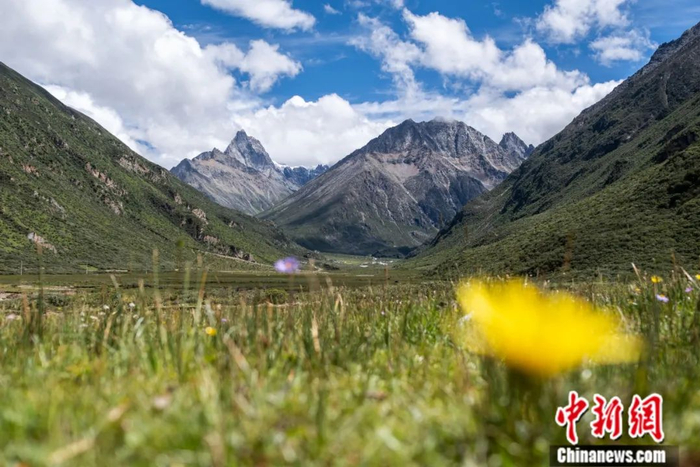 西藏自治区那曲市嘉黎县布囊沟夏季风光。中新社记者 何蓬磊 摄