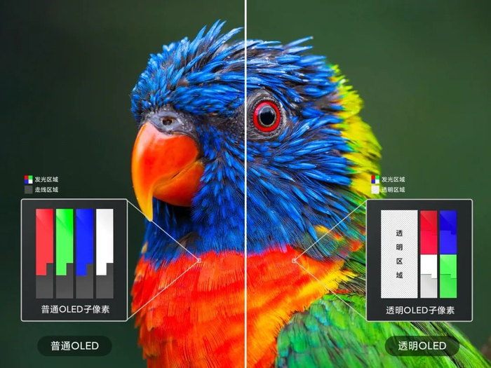 ▲ 普通 OLED 子像素与透明 OLED 子像素对比