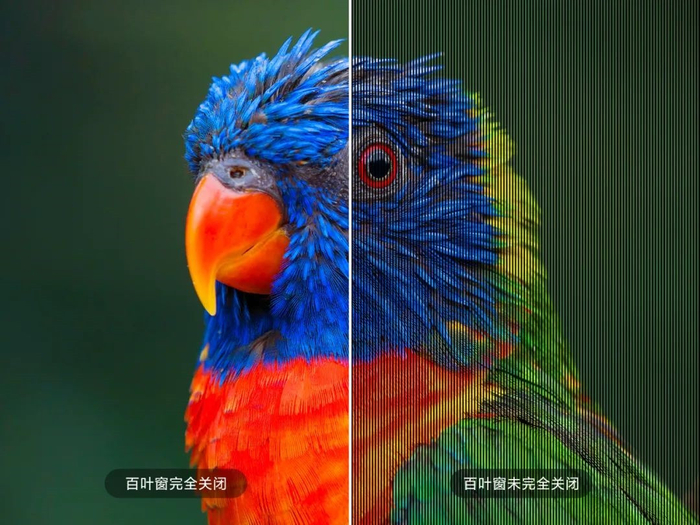 ▲ 透明区域就像「百叶窗」开启时的状态