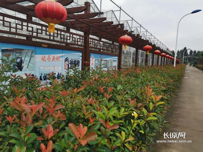 小辛旺村一角。长城网记者 许艳艳 摄