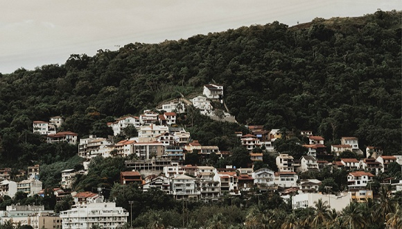 图片来源：Pexels-Luiz Fernando