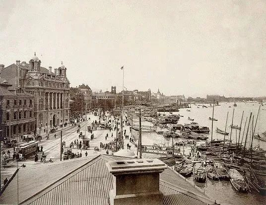 △来华的西方人在租界引发了不少细菌灾难/wiki