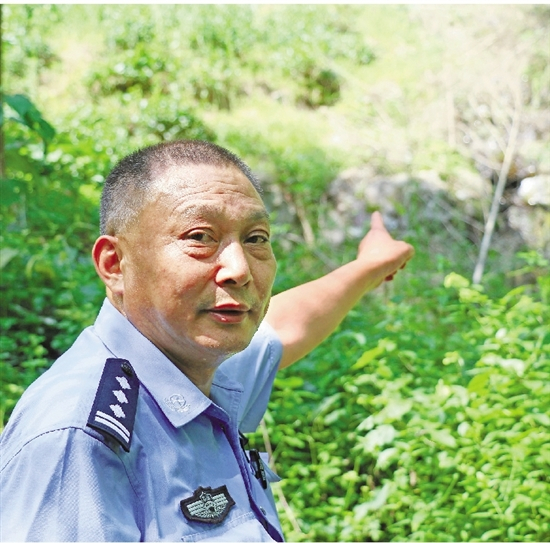 王国林停下脚步，伸手指向山坳中的两株山核桃树，向我们讲起他曾经参与调解的涉林纠纷  拍友 方哲圆 摄