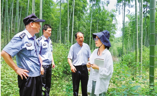 在天荒坪镇马吉村，记者（右一）采访林区警长王国林（左一）  拍友 方哲圆 摄