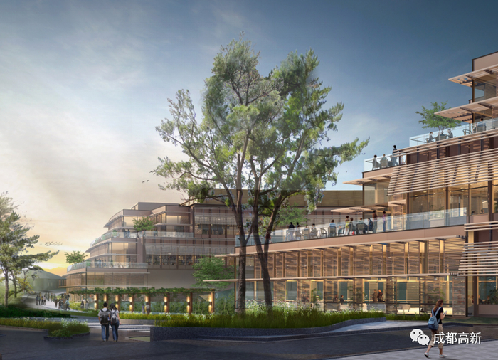国际教育园区效果图▲