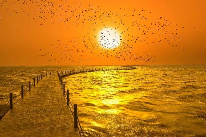 落霞与孤鹜齐飞，秋水共长天一色——红海滩傍晚之美。资料图片