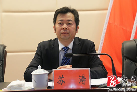 苏涛&nbsp; 红网 图