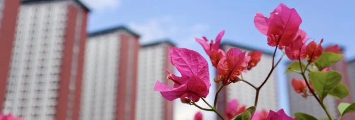 ▲聚焦深圳校区 | 搬迁在即，教师代表先行探访深圳校区