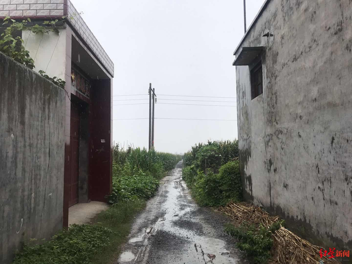 案发村庄外围即是大片一人多高的玉米地，增加了警方抓捕嫌犯的难度。