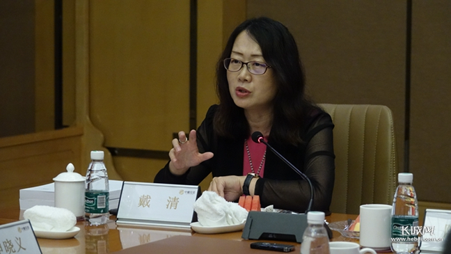 中国传媒大学艺术学院教授、博士生导师戴清。长城网记者 廉明坤 摄