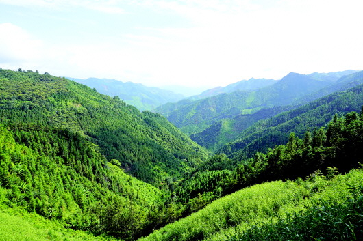 册亨县青山连绵，满目苍翠