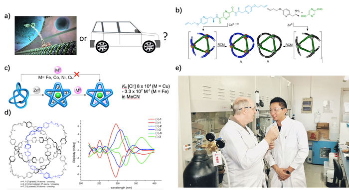 ▲（a-d）李大为教授华东师大团队近期研究工作回顾;（e）李大为教授与团队负责人张亮博士