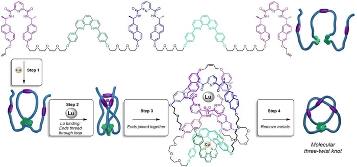 ▲分子结52的合成