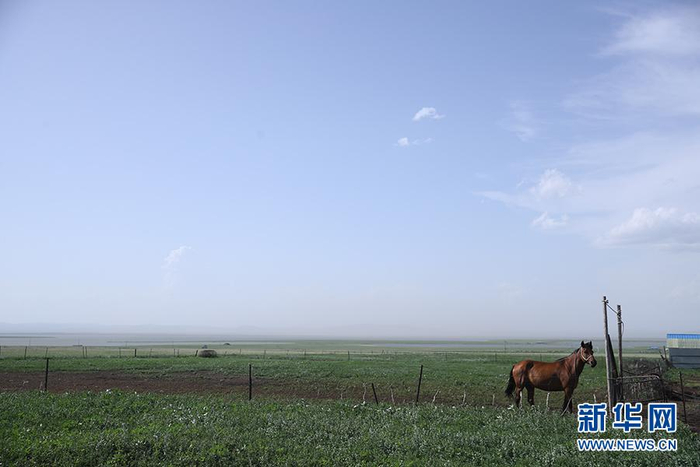 其日麦拉图家的牧场挨着胡列也吐湖，湖对岸是俄罗斯。新华网记者焦鹏摄