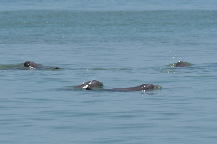 △图片来自网络
