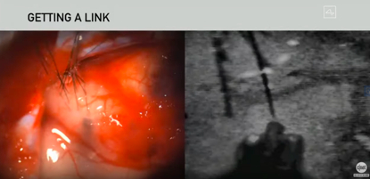 图源：YouTube 视频截图