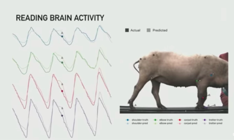 图源：YouTube 视频截图
