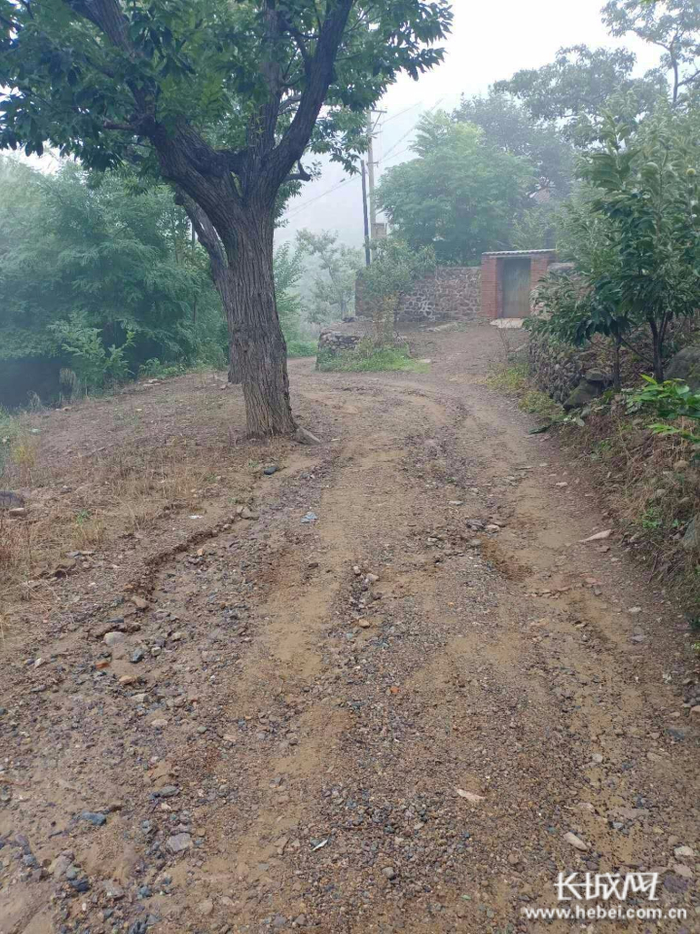 唐山市迁西县洪沟峪村道路泥泞难行。网友供图