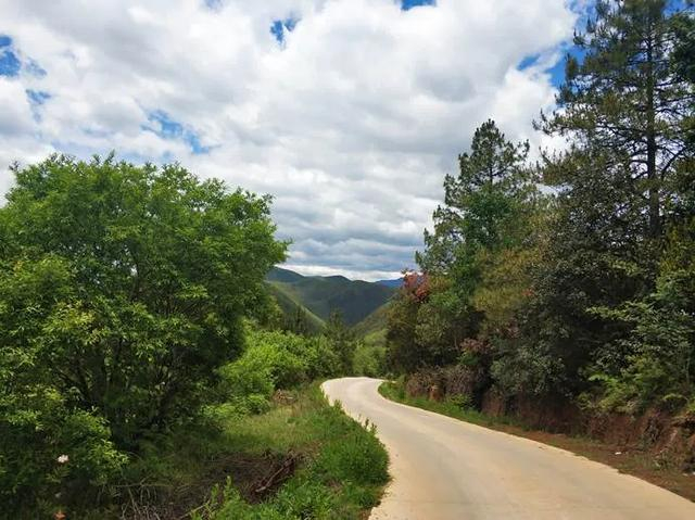 　　金普村的“三峡路”