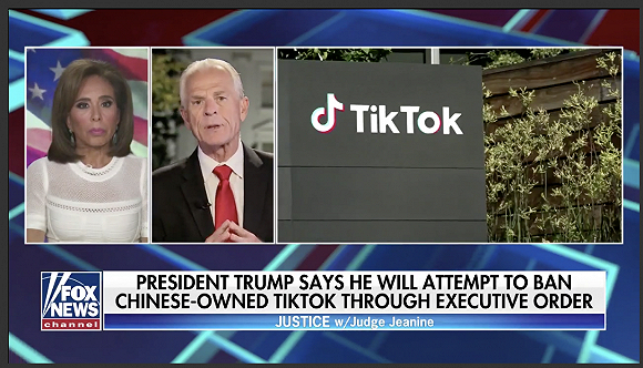 纳瓦罗在福克斯电视台节目中/Fox News