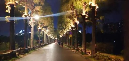 图片来源：武汉晚报