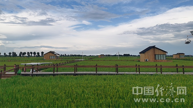 内蒙古兴安盟扎赉特旗好力保镇的“稻梦星空”木屋民宿（经济日报-中国经济网记者 武晓娟/摄）