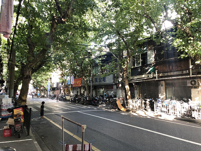 建国东路动迁范围内老旧小区 &nbsp;李贝贝 摄