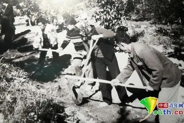 毛丰美带领大梨树村的乡亲们开垦荒山。资料图