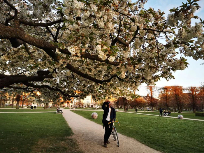 丹麦首都哥本哈根街头的骑行者。新华社记者林晶摄