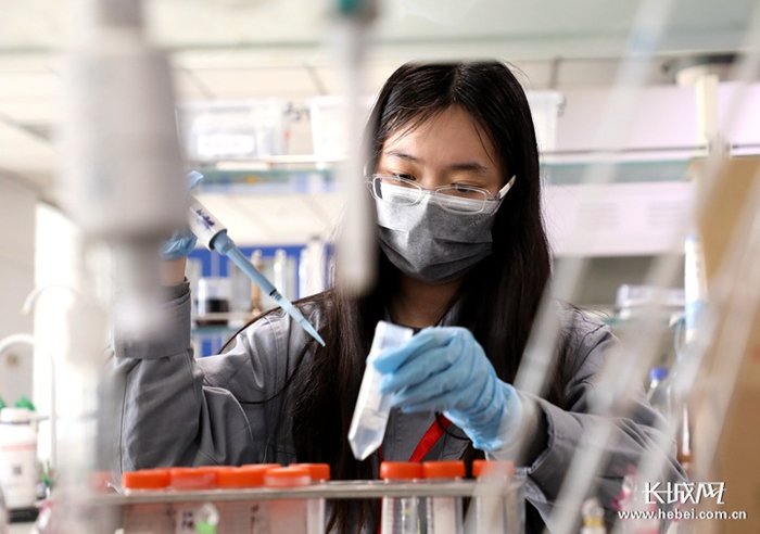 石药恩必普药业不断加大研发投入。 长城网记者 烟成群 摄