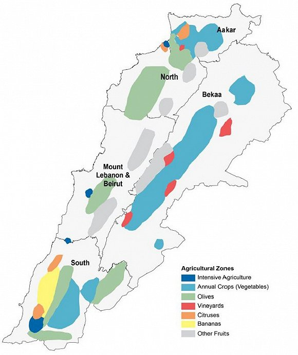 蓝色为蔬菜产区，绿色为橄榄，红色为葡萄园，橘色为柑橘，黄色为香蕉。图片来源：联合国粮农组织