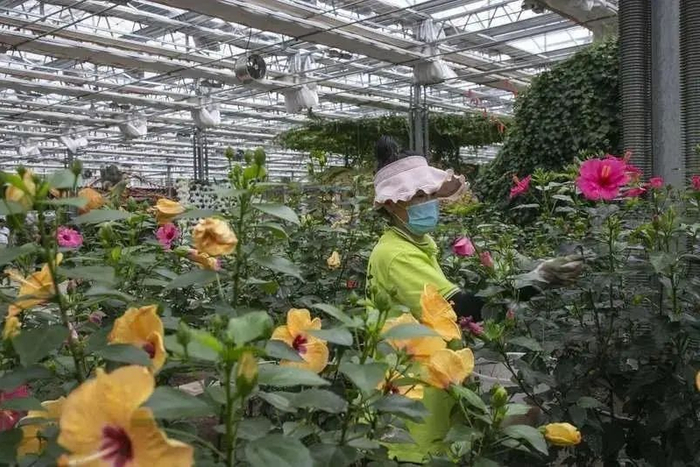 大梨树村现代农业展示馆。中青报·中青网见习记者曲俊燕 摄