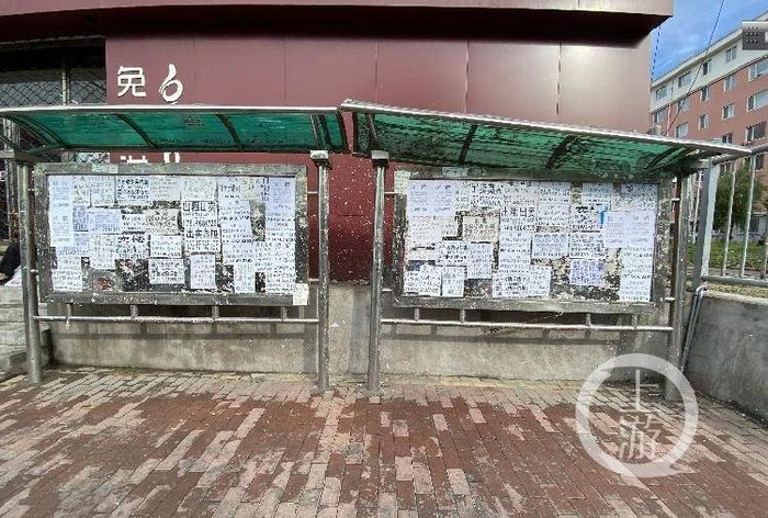 ▲在鹤岗，许多小区内张贴满了售房信息。摄影/上游新闻记者 张莹