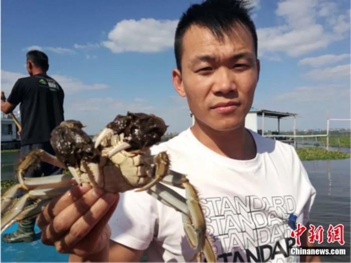 闻一闻，仿佛有大闸蟹的香味？钟升&nbsp;摄