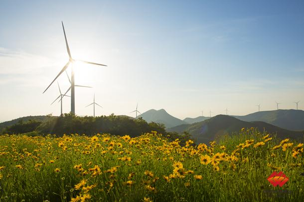 图为被评为网友评为“最美风车公路”的