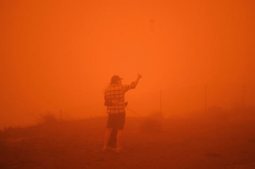9月9日中午，一对情侣在美国加利福尼亚州旧金山金门大桥旁拍照留念。新华社记者 吴晓凌 摄