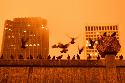 这是9月9日中午拍摄的美国加利福尼亚州旧金山街景。新华社记者 吴晓凌 摄