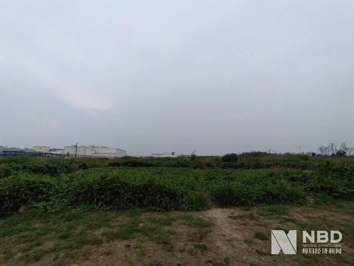 Beyond Meat中国工厂拟建地所在未开发地块&nbsp;图片来源：每经记者 张韵 摄