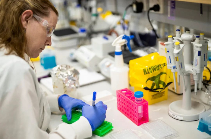 这张2020年4月1日拍摄的照片显示，科研人员在位于澳大利亚布里斯班的昆士兰大学实验室进行疫苗研制工作。新华社发（昆士兰大学供图）