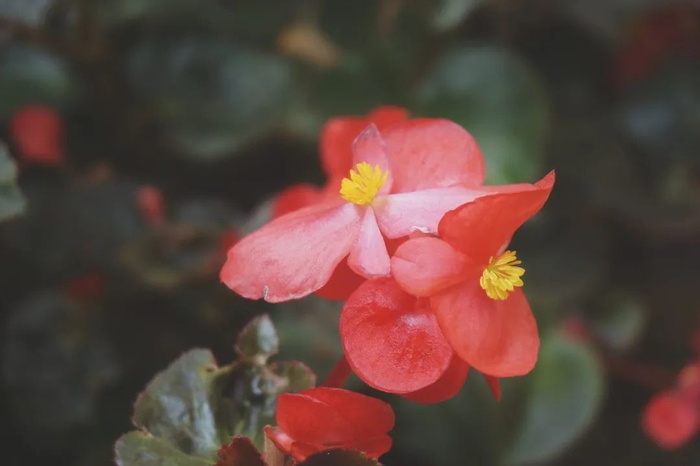 （温雷蕾摄）