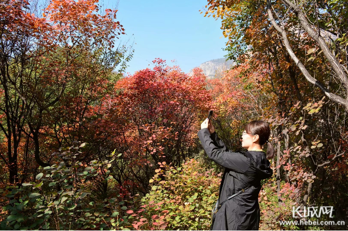 邢台九龙峡景区景色迷人，游客驻足拍照。 通讯员 刘海军 摄