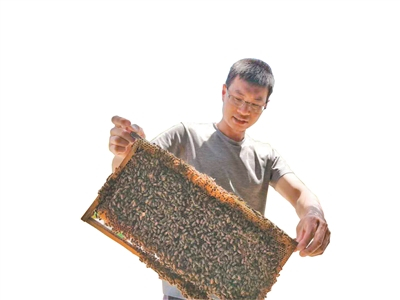  游信毅举起巢脾仔细检查。 （受访者供图）