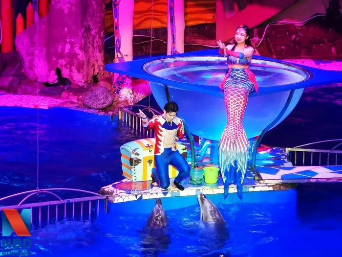 大连圣亚海洋世界的动物表演吸引了不少游客，高层的冲突尚未影响公司日常经营