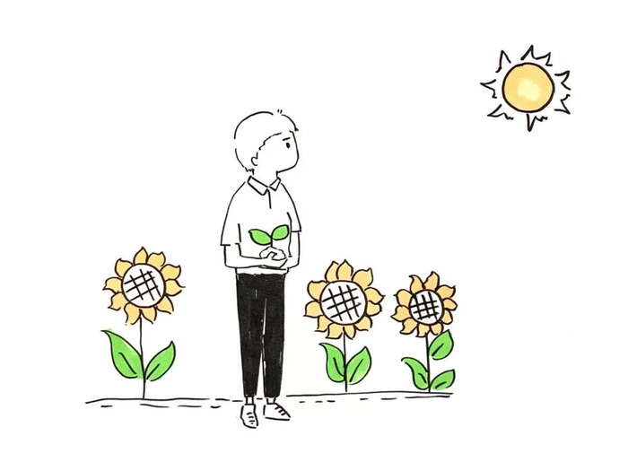 制图：张舰元