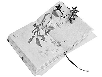     《身边的二十四节气》 刘从康 著/绘 武汉出版社