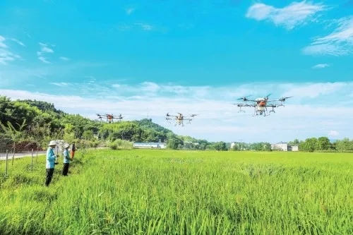 重庆田中秧农产品股份合作社在梁平区回龙镇清平村8组进行植保社会化服务。熊伟 摄