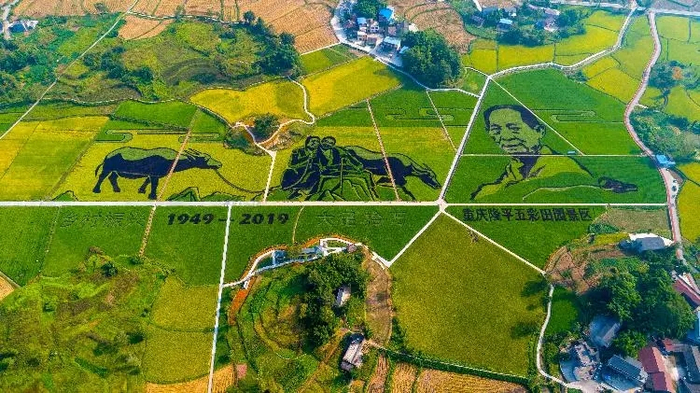 大足隆平五彩田园 图:大足日报社