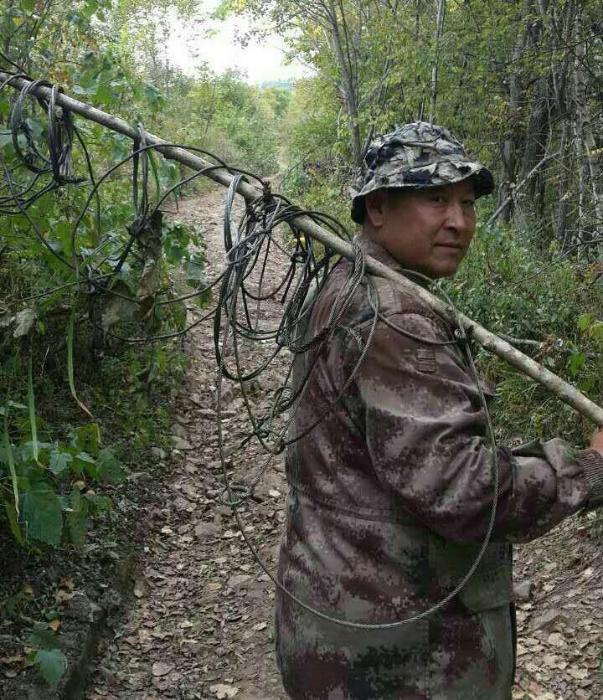 图片来源：黑龙江省林业和草原局